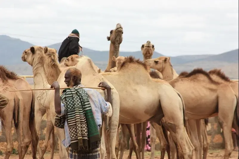 A Story of East African Political Persistence